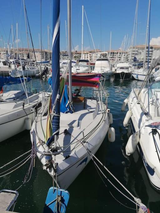 Jolis Voiliers De 6m Pour Experience Insolite Sur Port Et Port Santa Lucia St Raphael Botel *
