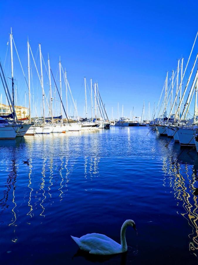 Jolis Voiliers De 6m Pour Expérience Insolite Sur Port Et Port Santa Lucia St Raphael