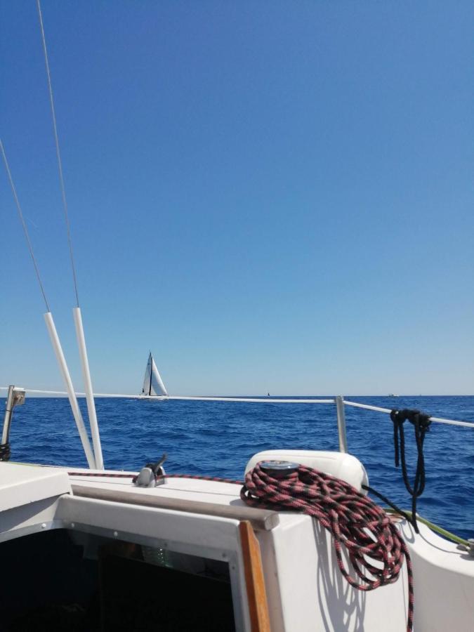 Jolis Voiliers De 6m Pour Expérience Insolite Sur Port Et Port Santa Lucia St Raphael Fréjus