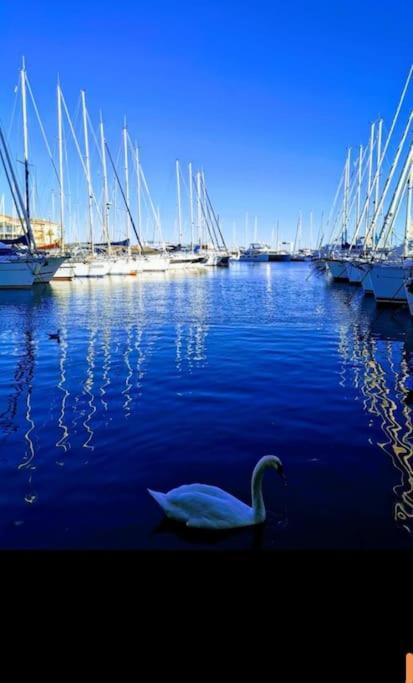 Jolis Voiliers De 6m Pour Expérience Insolite Sur Port Et Port Santa Lucia St Raphael Fréjus
