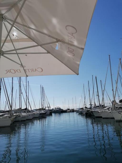 Jolis Voiliers De 6m Pour Expérience Insolite Sur Port Et Port Santa Lucia St Raphael