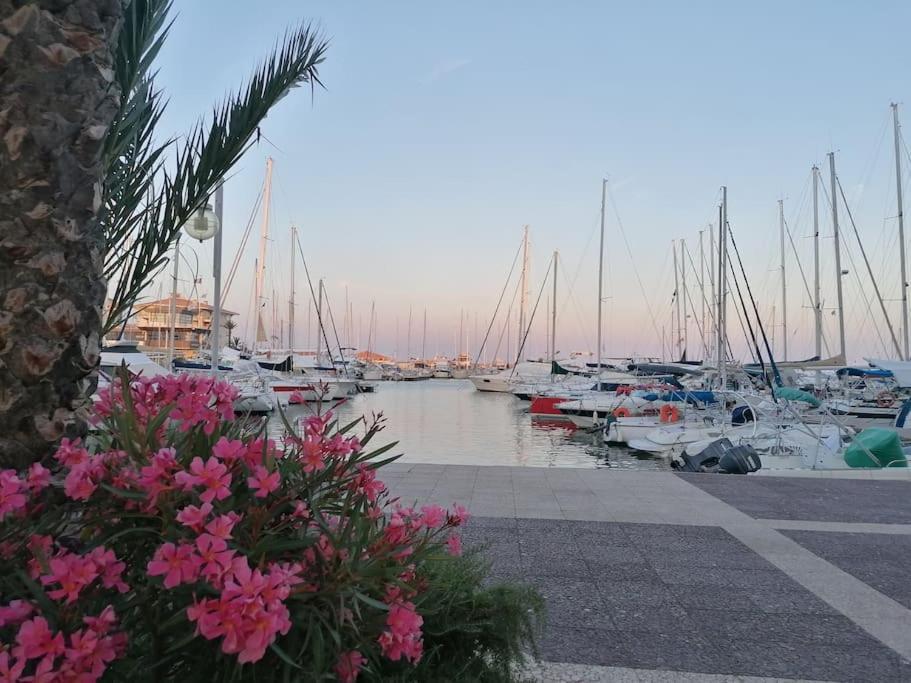 Botel Jolis Voiliers De 6m Pour Expérience Insolite Sur Port Et Port Santa Lucia St Raphael *