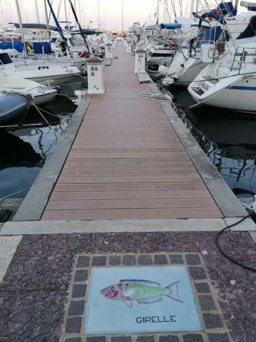 Jolis Voiliers De 6m Pour Expérience Insolite Sur Port Et Port Santa Lucia St Raphael *