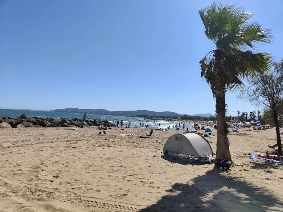 Jolis Voiliers De 6m Pour Expérience Insolite Sur Port Et Port Santa Lucia St Raphael *