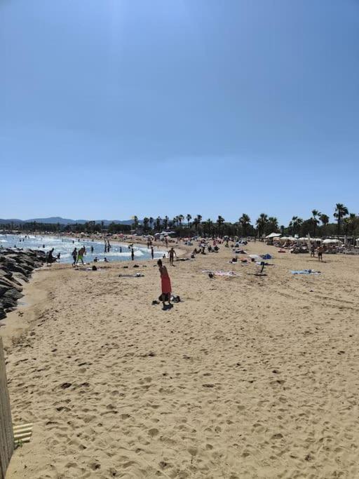 Jolis Voiliers De 6m Pour Expérience Insolite Sur Port Et Port Santa Lucia St Raphael Botel