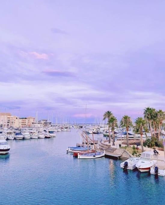 Botel Jolis Voiliers De 6m Pour Expérience Insolite Sur Port Et Port Santa Lucia St Raphael